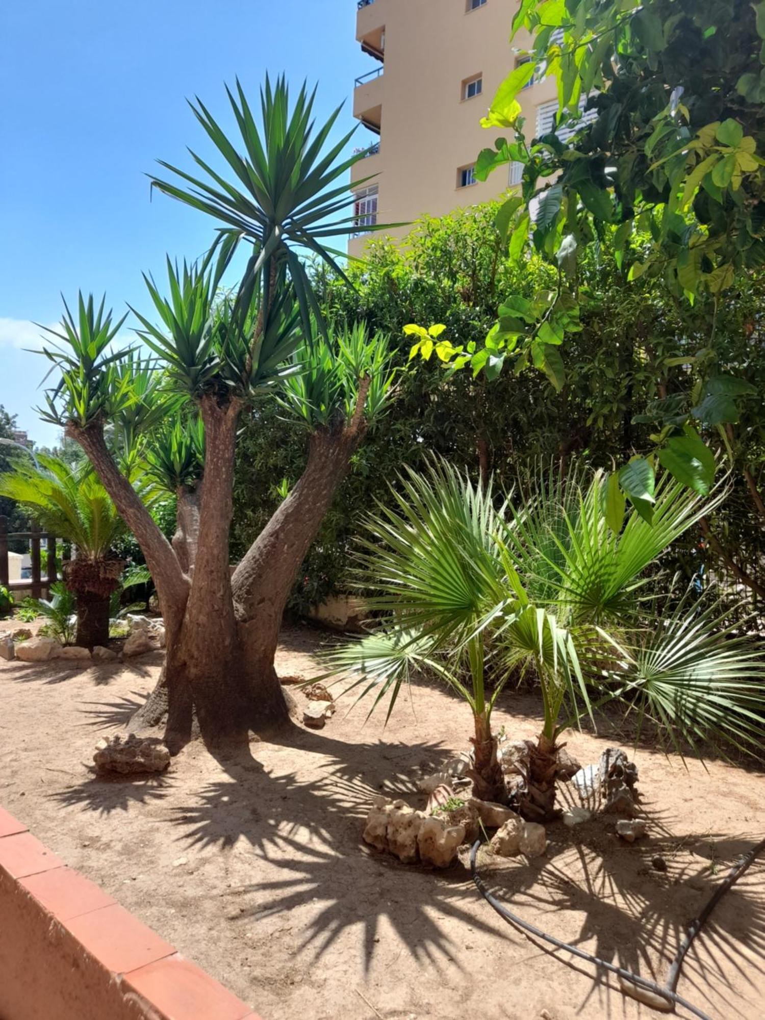 Torremolinos Centro Beach Lägenhet Exteriör bild